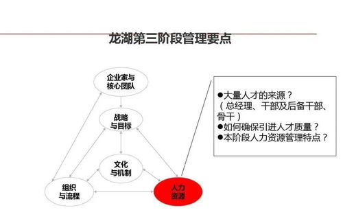 龍湖企業(yè)管理與運營精細化管理之道